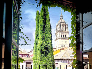 -VISTAS DESDE LA VENTANA 22
